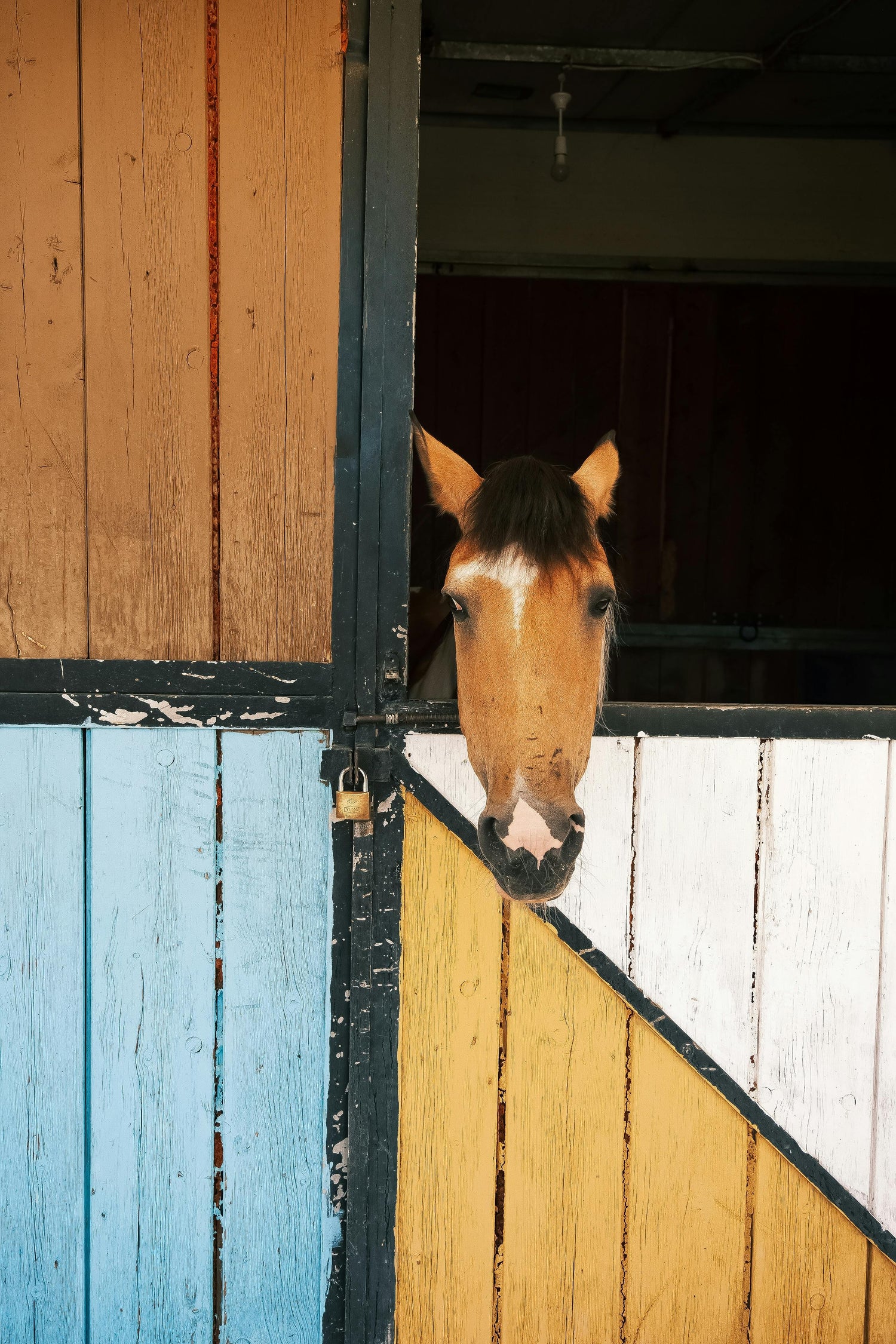 Are You Too Soft-Hearted? Take the Soft Heartedness Test and Discover Your True Nature