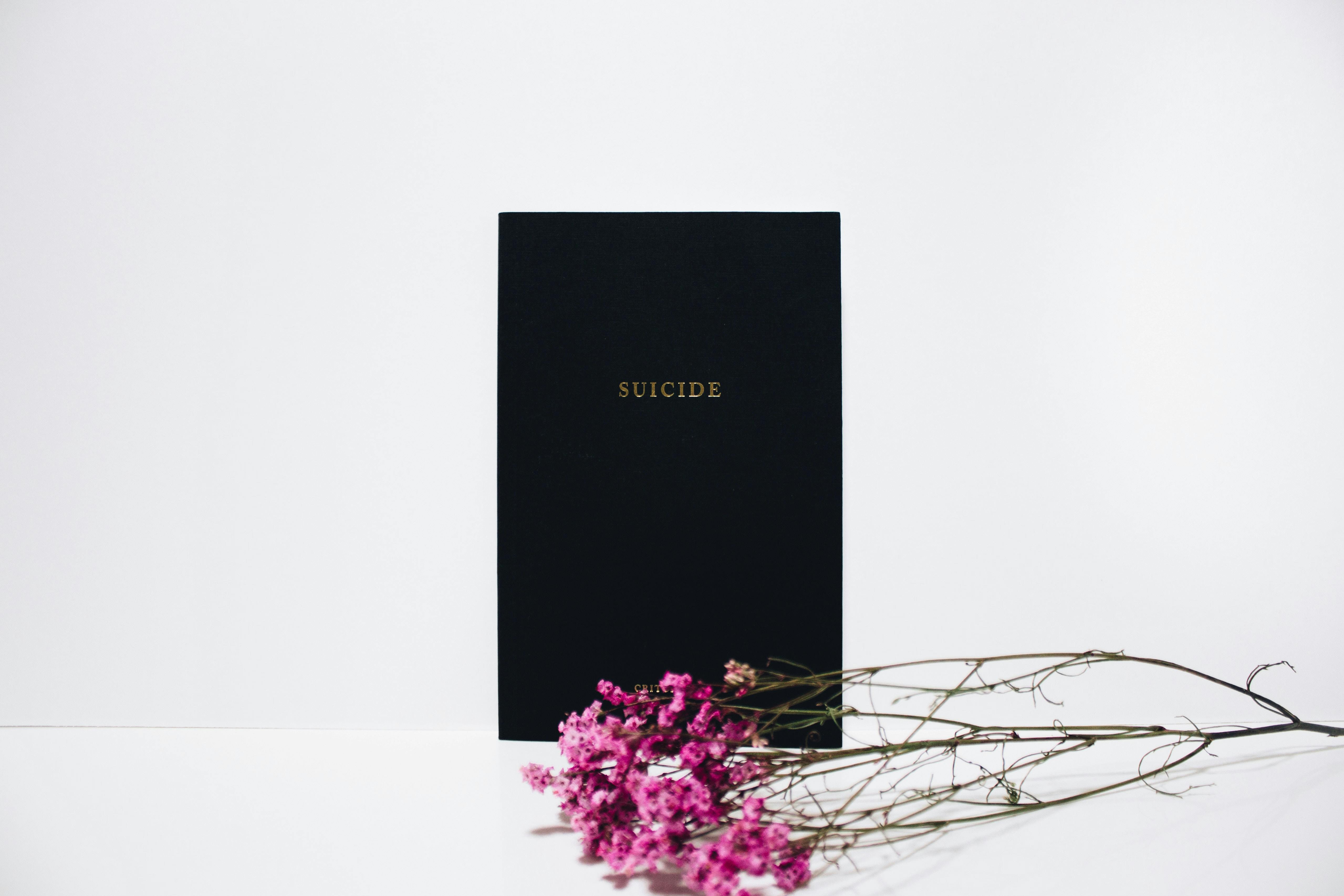 Quotes on Suicide: Words That Hold Us Through the Dark