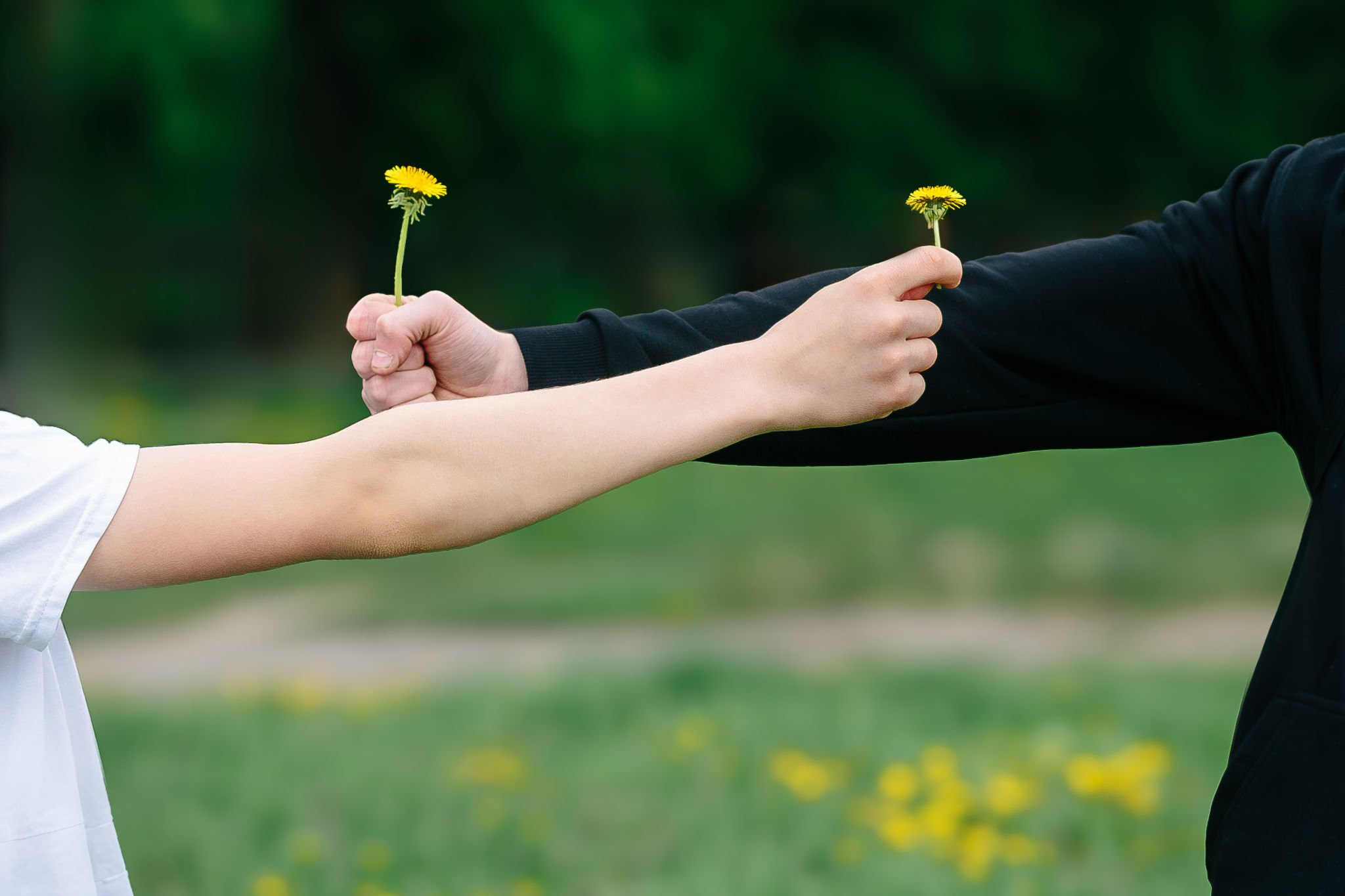 Relationship Compatibility Test: Deeper Questions for Real Connection