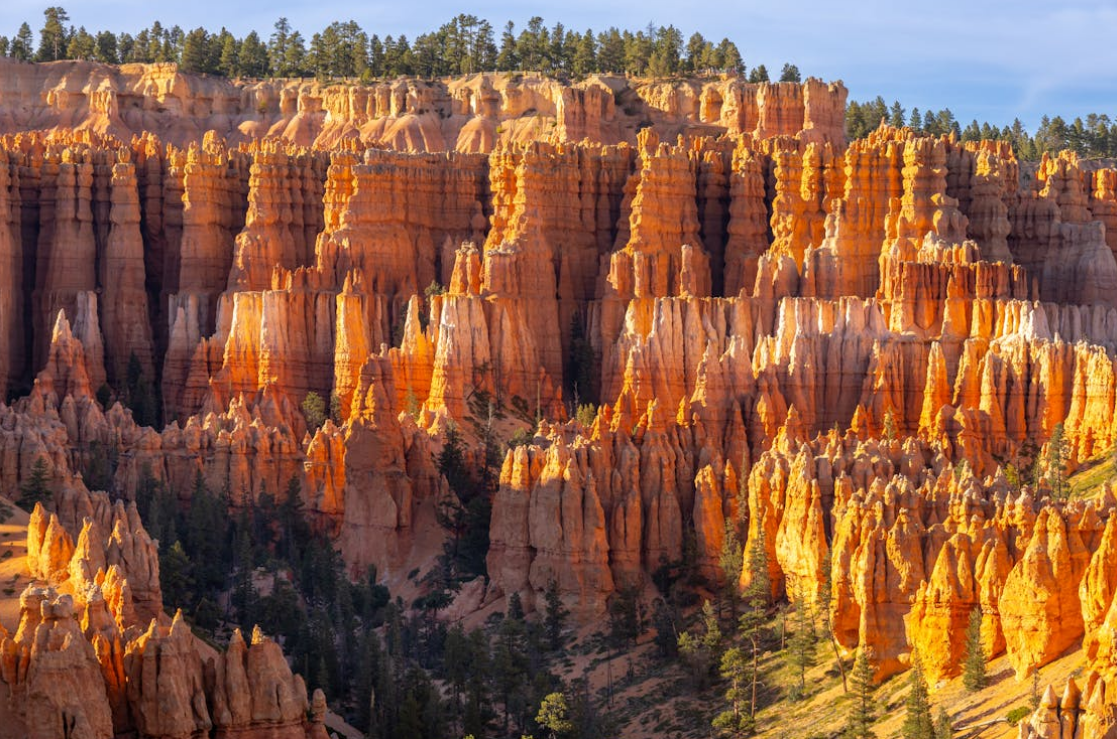 A Term in Psychology: The Peak-End Rule