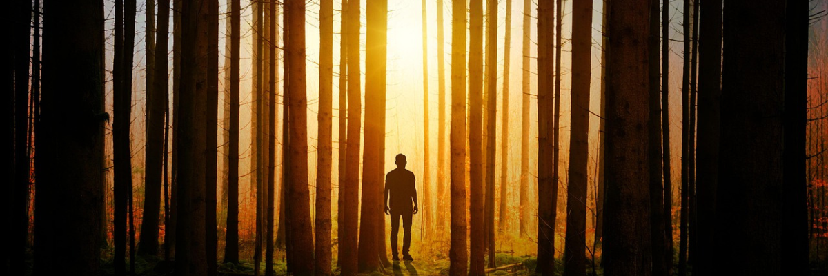 Rebuilding Life After Depression: A Journey of Transformation