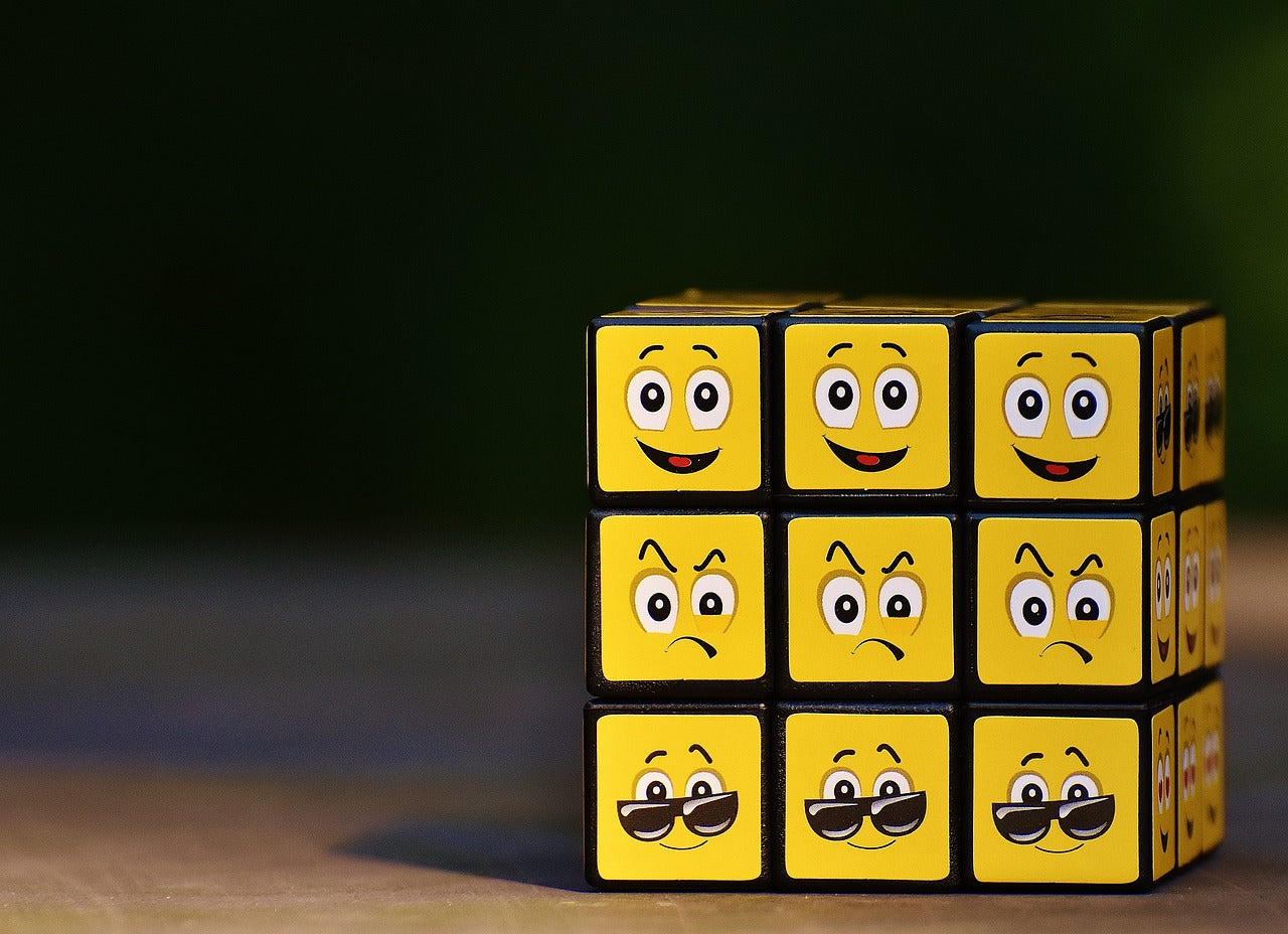 Understanding and Managing Emotions Briefly, Easily and Completely